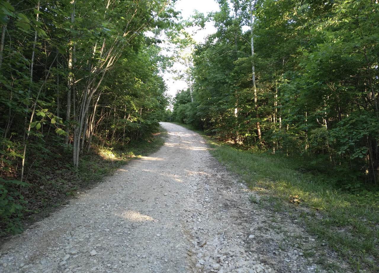 https://bt-photos.global.ssl.fastly.net/lexington/1280_boomver_1_20250730130654029522000000-2.jpg