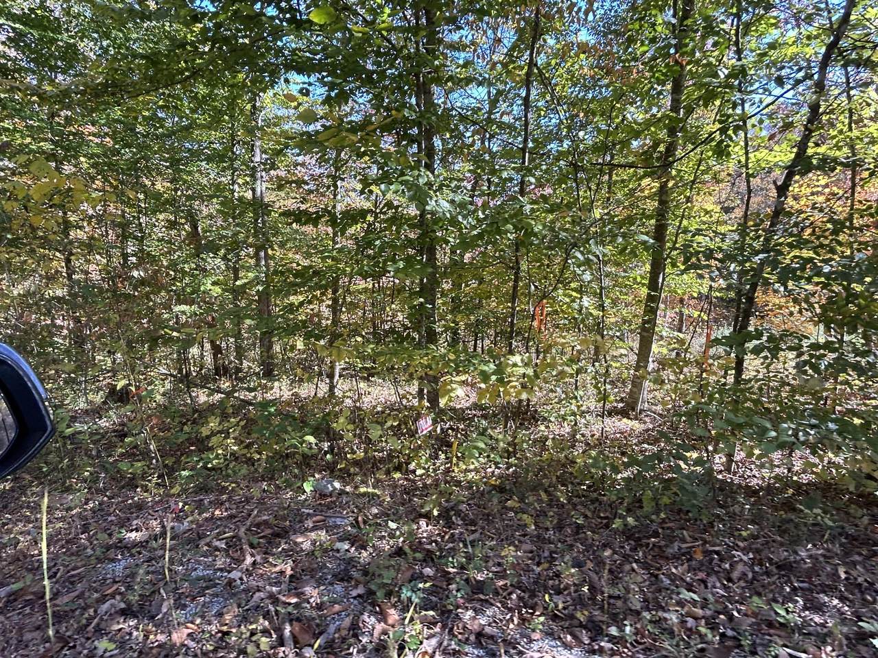 Lot # 5 Buck Creek Circle - Photo 1
