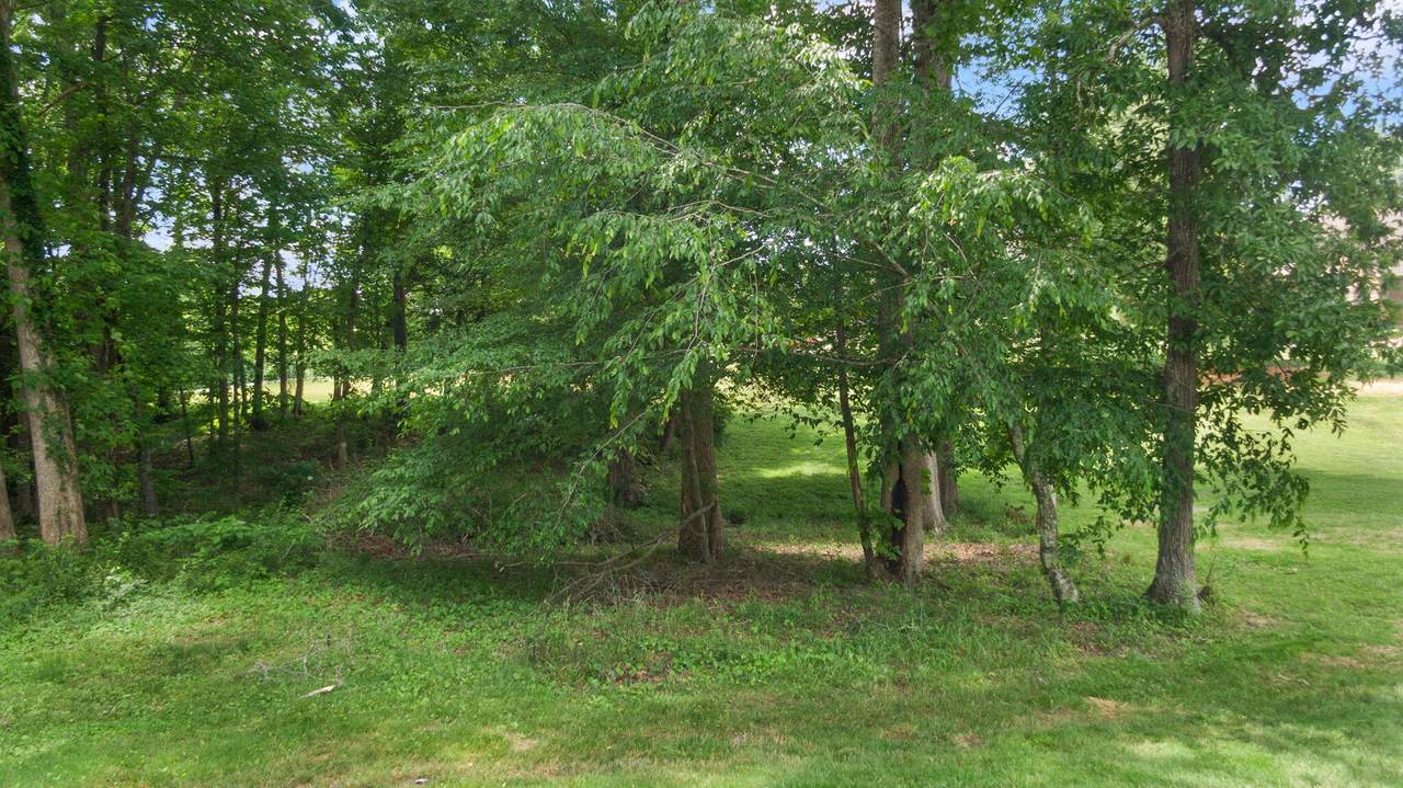 https://bt-photos.global.ssl.fastly.net/lexington/1280_boomver_1_20250730132659108369000000-2.jpg