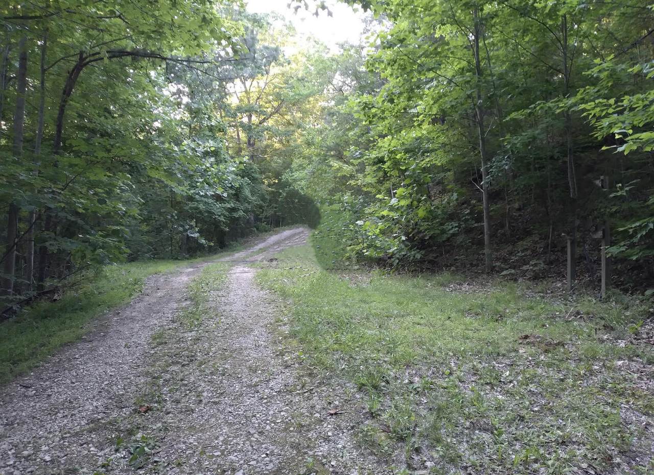 https://bt-photos.global.ssl.fastly.net/lexington/1280_boomver_1_20250730132840793310000000-2.jpg
