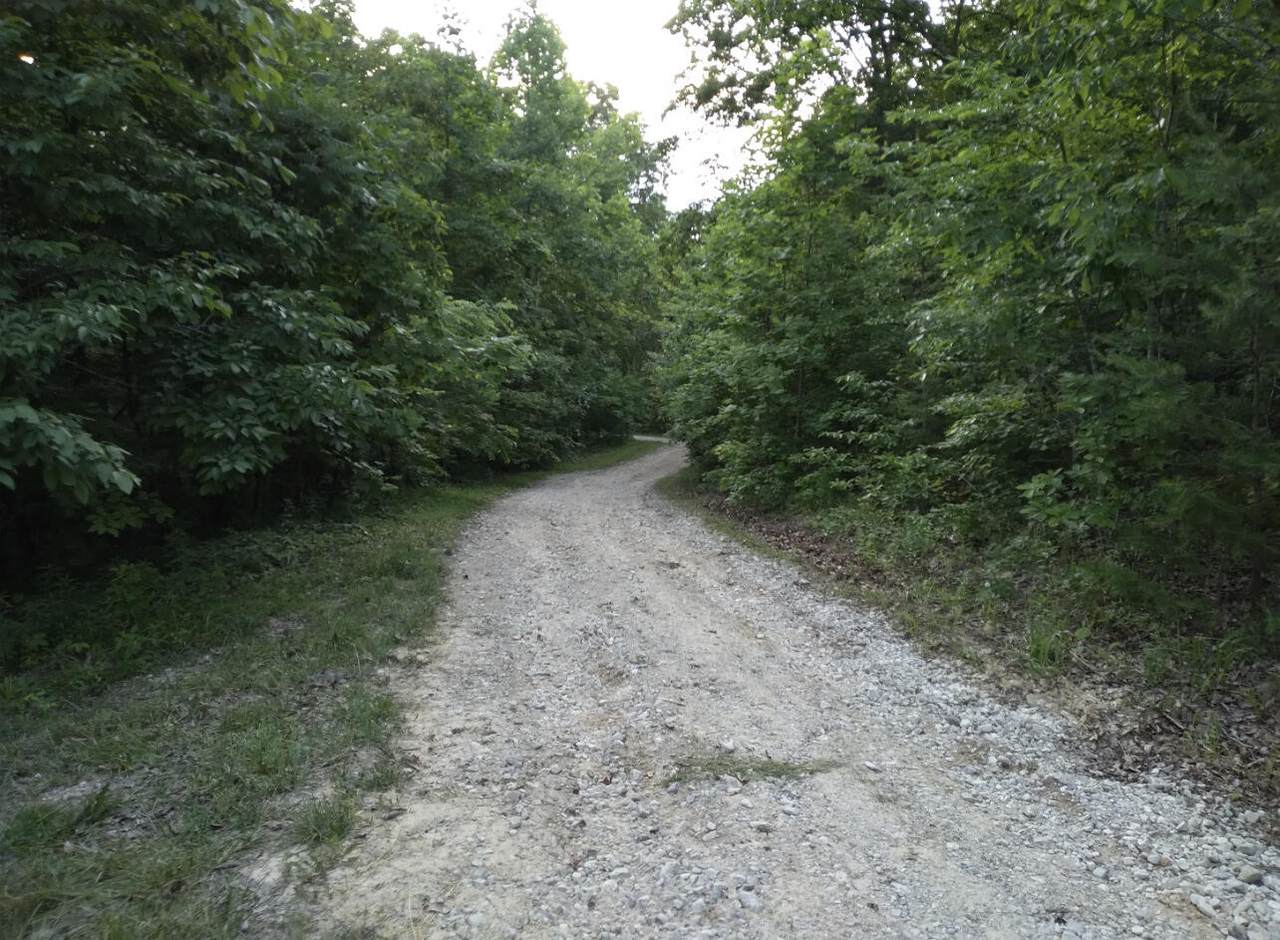 https://bt-photos.global.ssl.fastly.net/lexington/1280_boomver_1_20250730132840793310000000-2.jpg