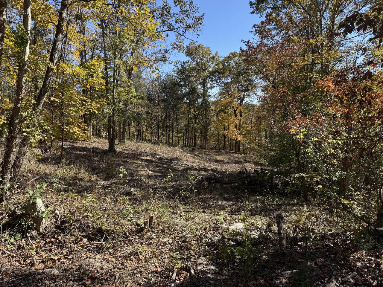Lot# 36 Buck Creek Circle - Photo 1
