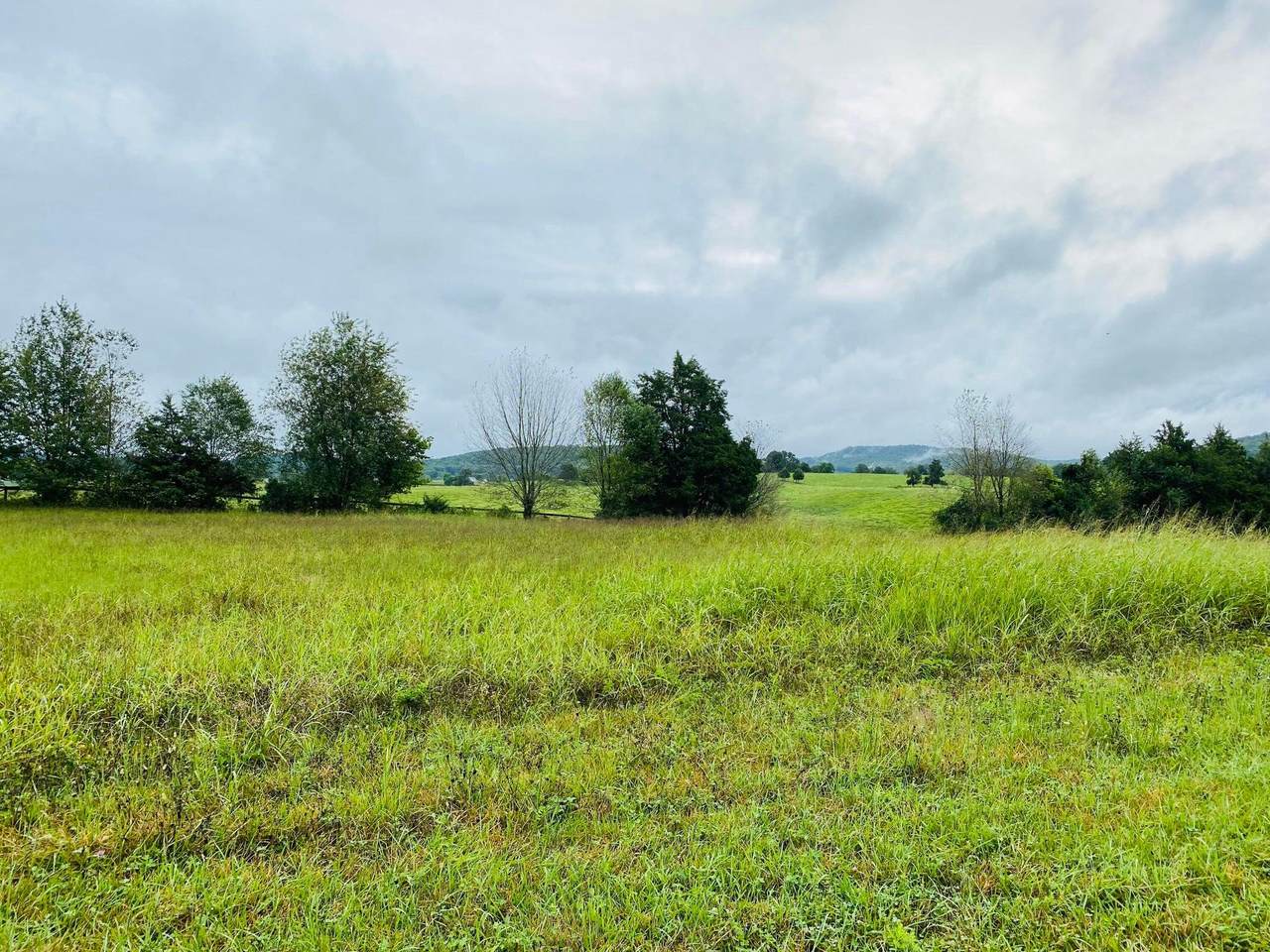 https://bt-photos.global.ssl.fastly.net/lexington/1280_boomver_1_20250730142646265734000000-2.jpg