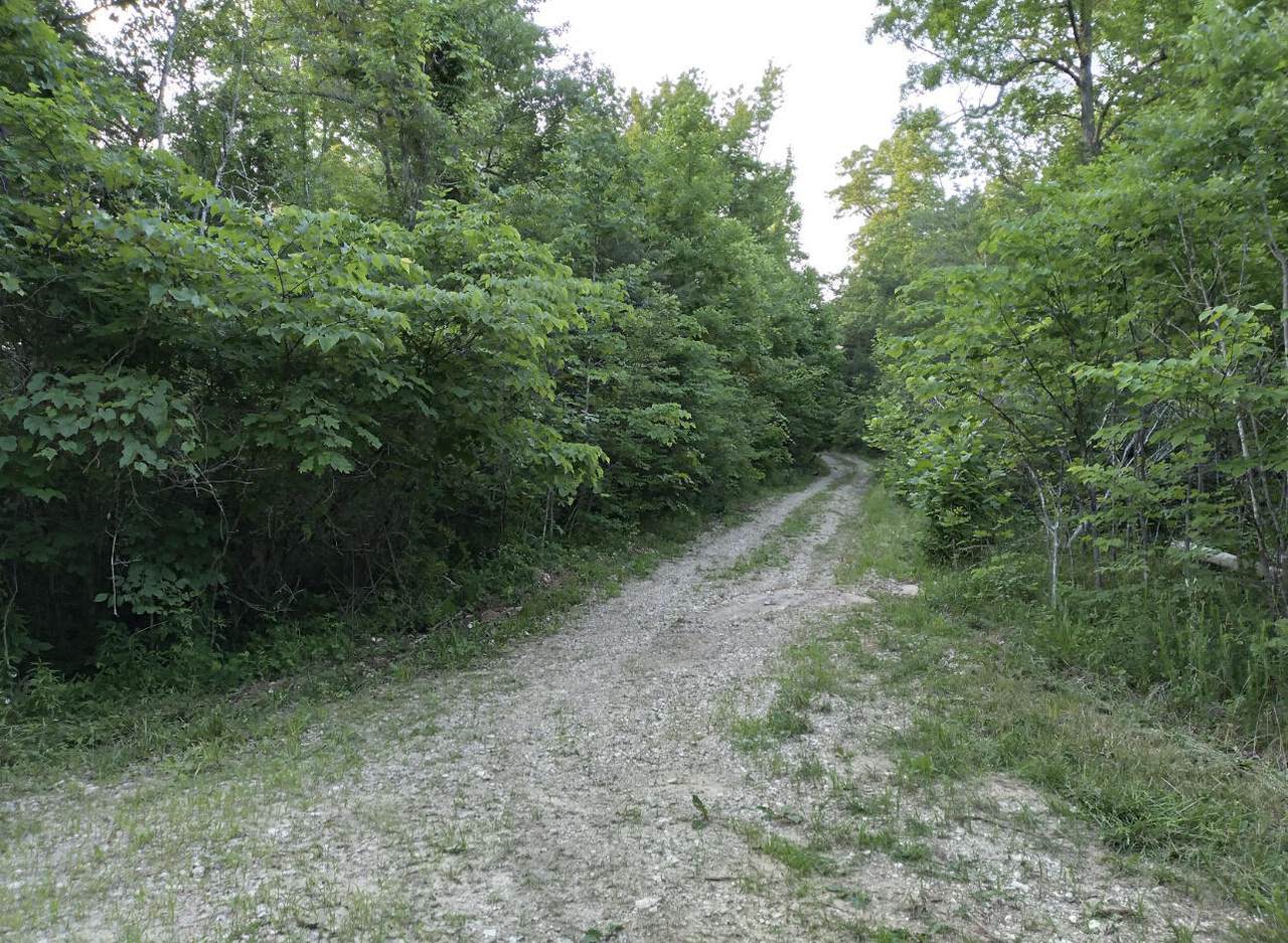 https://bt-photos.global.ssl.fastly.net/lexington/1280_boomver_1_20250730151227770012000000-2.jpg
