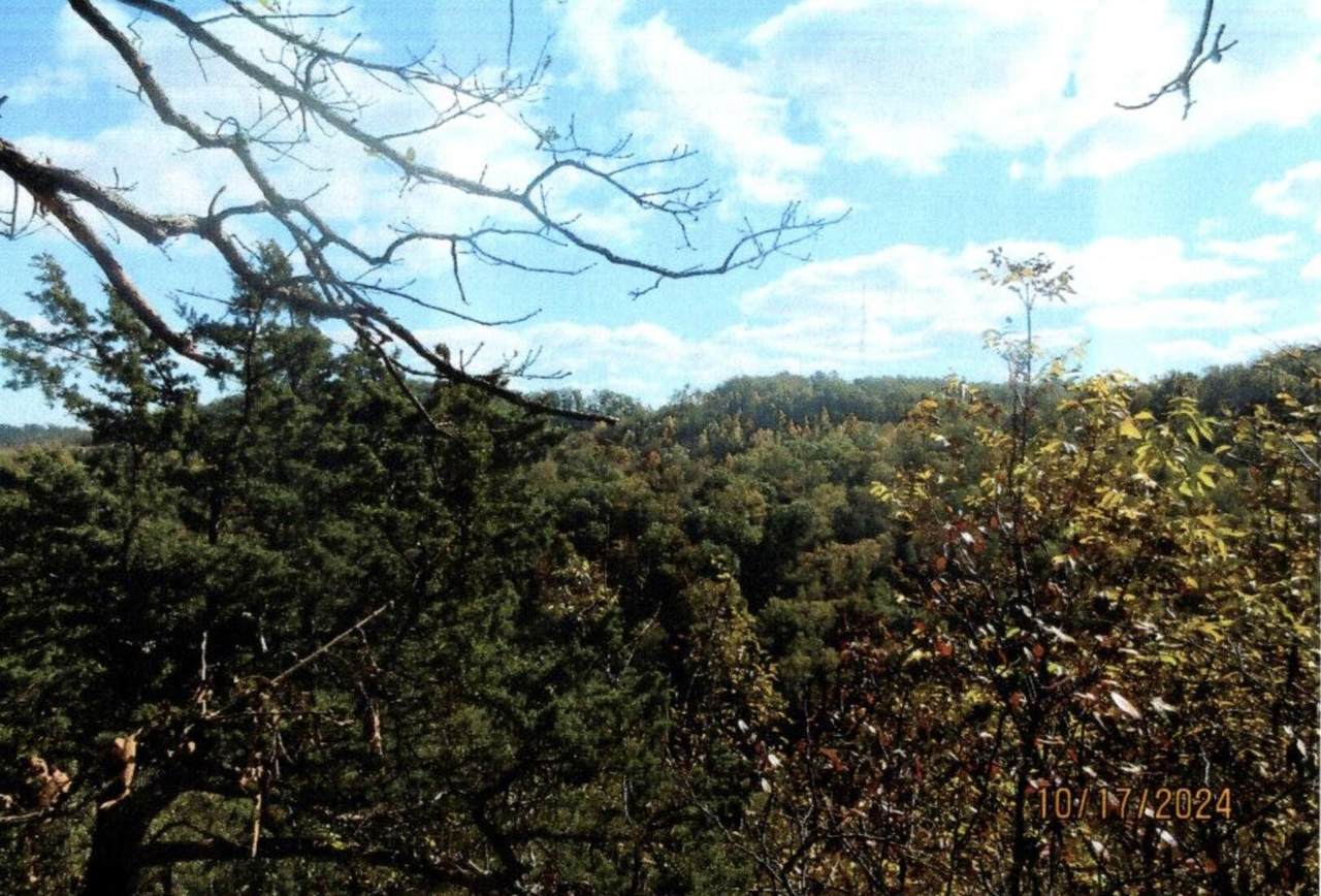 https://bt-photos.global.ssl.fastly.net/lexington/1280_boomver_1_20250730152225523800000000-2.jpg