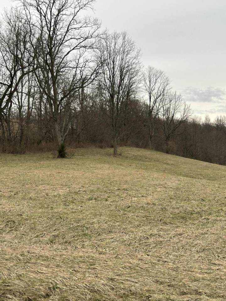 1 Mallard Point Drive - Photo 1