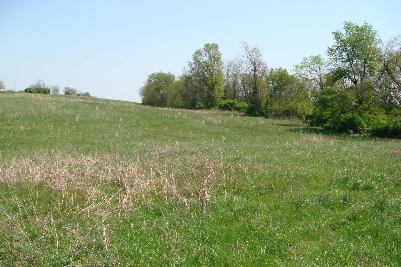 https://bt-photos.global.ssl.fastly.net/lexington/1280_boomver_1_20250730161349990122000000-2.jpg
