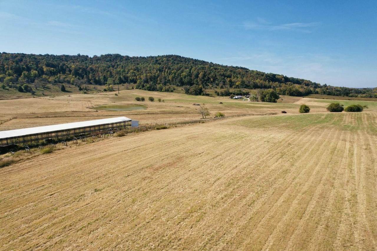 https://bt-photos.global.ssl.fastly.net/lexington/1280_boomver_1_20250730162012838704000000-2.jpg