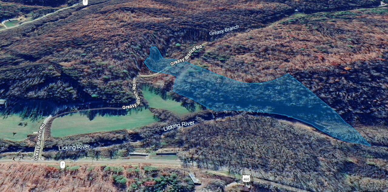 0 Greasy Branch Road - Photo 1