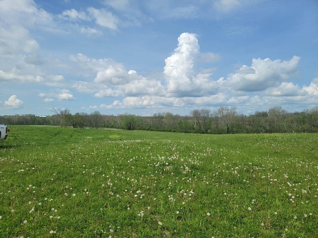 https://bt-photos.global.ssl.fastly.net/lexington/1280_boomver_1_20250730172146105796000000-2.jpg