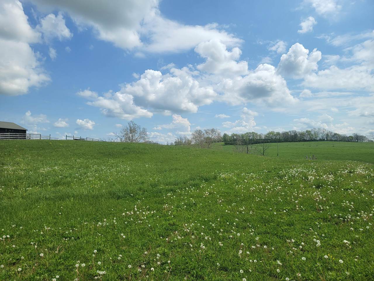 https://bt-photos.global.ssl.fastly.net/lexington/1280_boomver_1_20250730172146105796000000-2.jpg