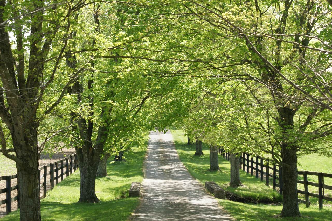 1901 Ferguson Road - Photo 1