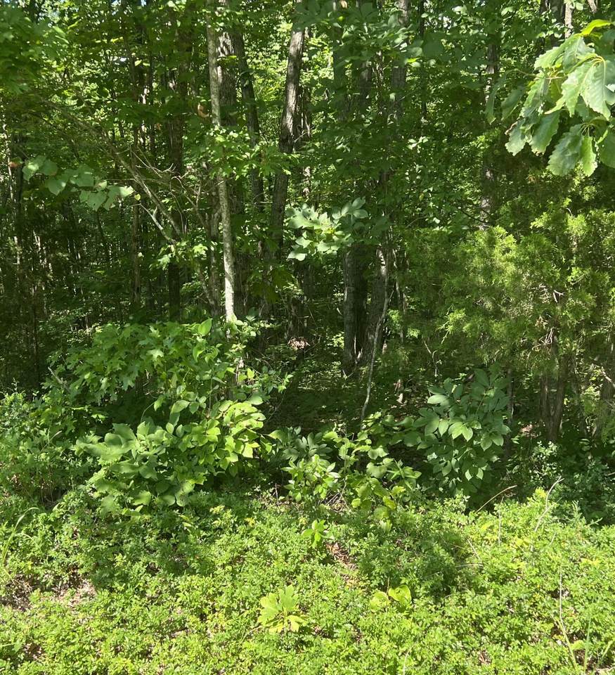 1111 Hwy 3285 - Photo 1