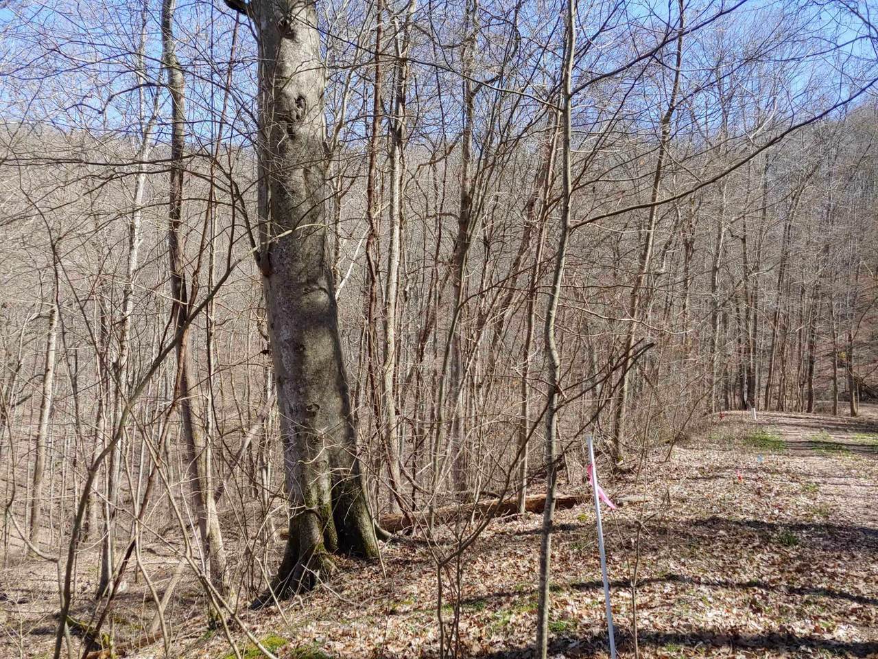 https://bt-photos.global.ssl.fastly.net/lexington/1280_boomver_1_20250730173732329227000000-2.jpg