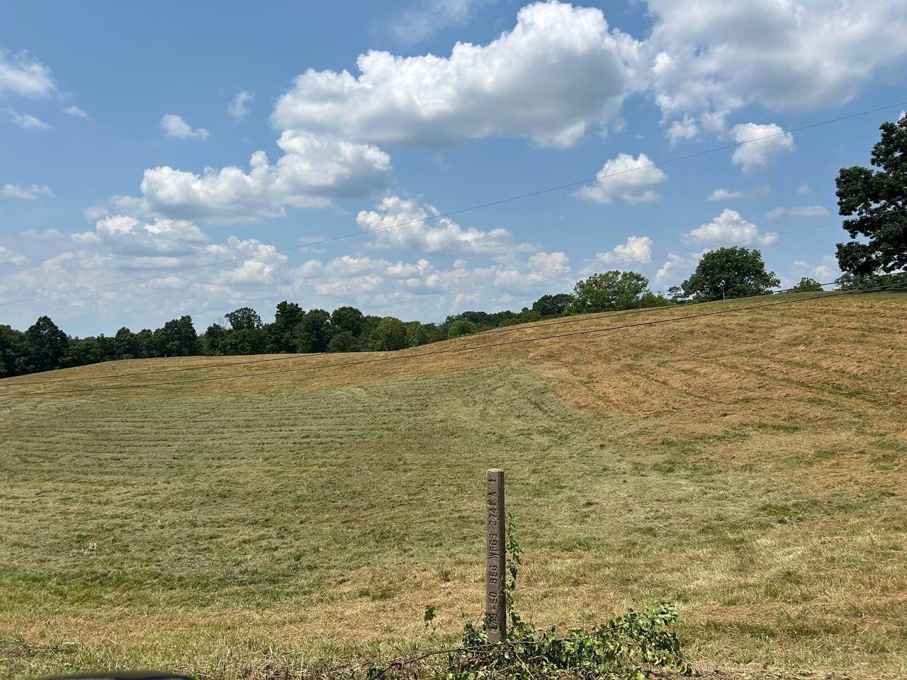 https://bt-photos.global.ssl.fastly.net/lexington/1280_boomver_1_20250730174428607510000000-2.jpg