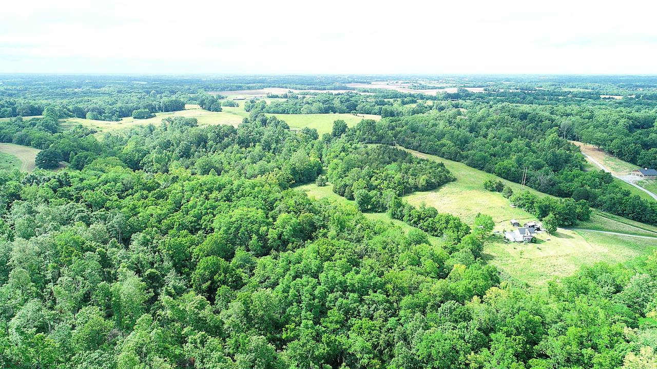 https://bt-photos.global.ssl.fastly.net/lexington/1280_boomver_1_20250730175216787831000000-2.jpg