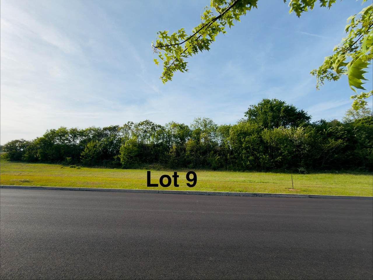 https://bt-photos.global.ssl.fastly.net/lexington/1280_boomver_1_20250730175302210253000000-2.jpg