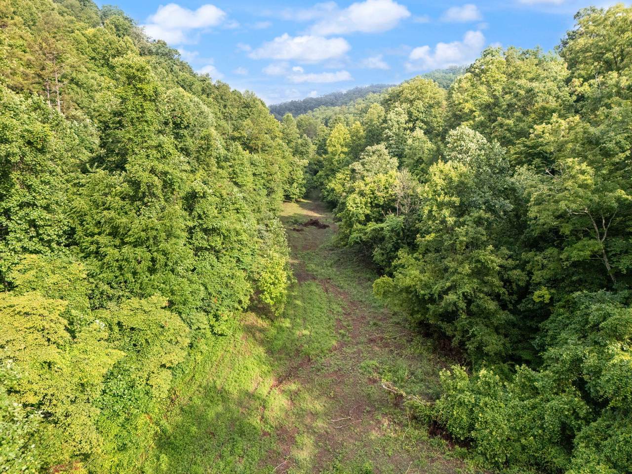 https://bt-photos.global.ssl.fastly.net/lexington/1280_boomver_1_20250730181325225082000000-2.jpg