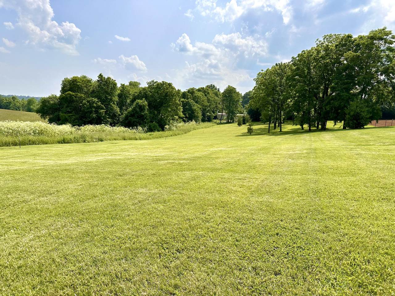 https://bt-photos.global.ssl.fastly.net/lexington/1280_boomver_1_20250730181417095277000000-2.jpg