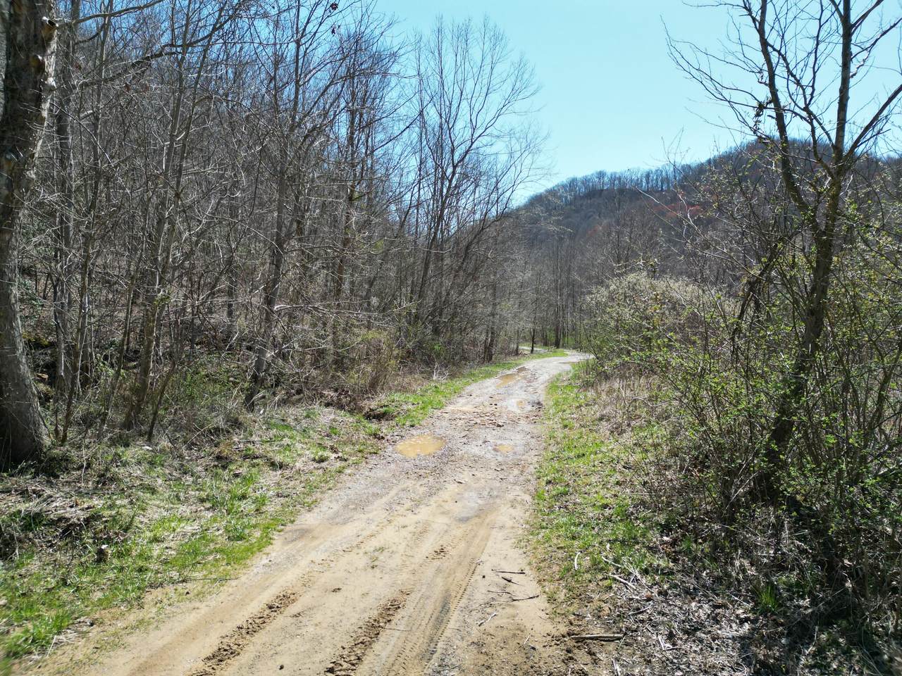 9999 Hales Fork Road - Photo 1