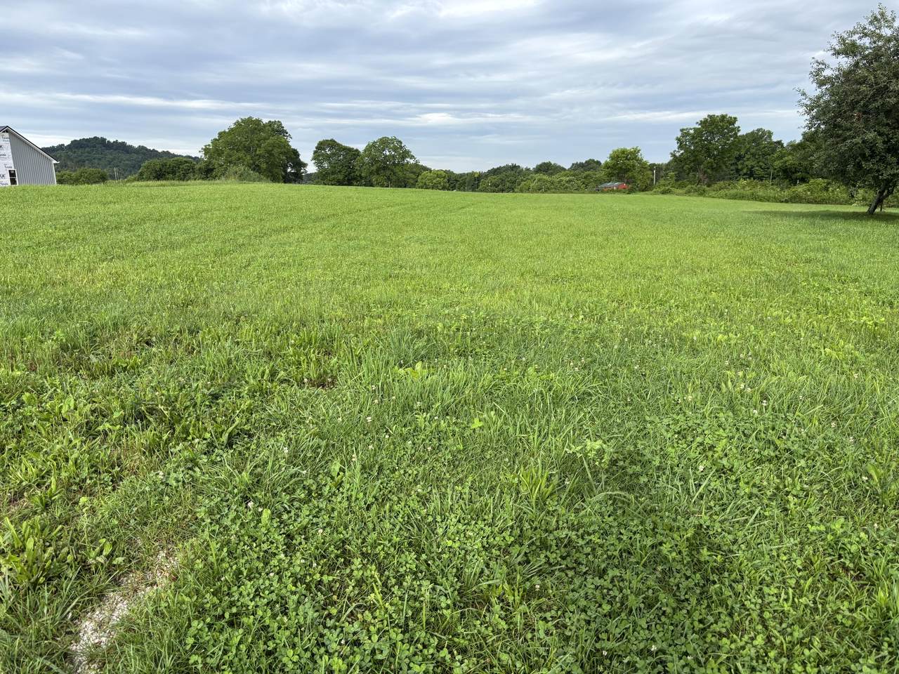 Lot 2 Elihu Cabin Hollow Rd - Photo 1