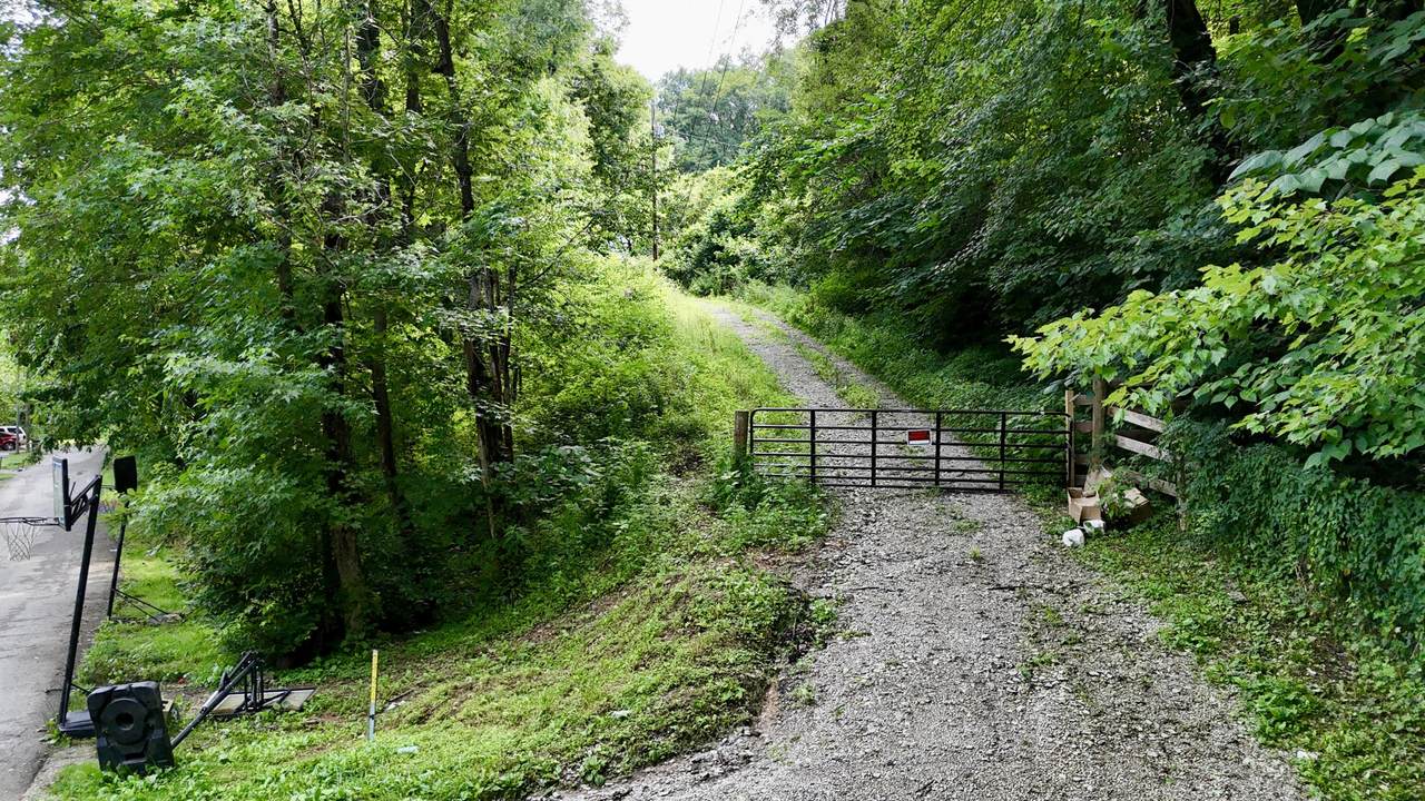 223 Bertha Hollow Road - Photo 1