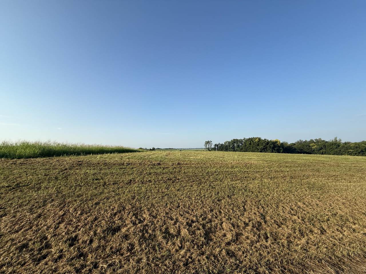 https://bt-photos.global.ssl.fastly.net/lexington/1280_boomver_1_20250821022811088252000000-2.jpg