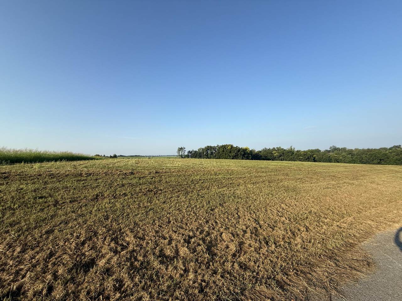 https://bt-photos.global.ssl.fastly.net/lexington/1280_boomver_1_20250821022811088252000000-2.jpg