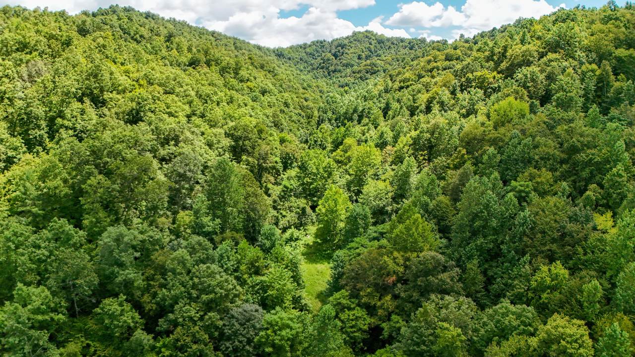 0 Woolum Disappointment Hollow Road - Photo 1