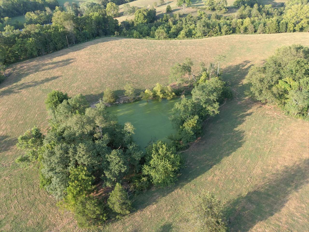 https://bt-photos.global.ssl.fastly.net/lexington/1280_boomver_1_20250821022919278036000000-2.jpg