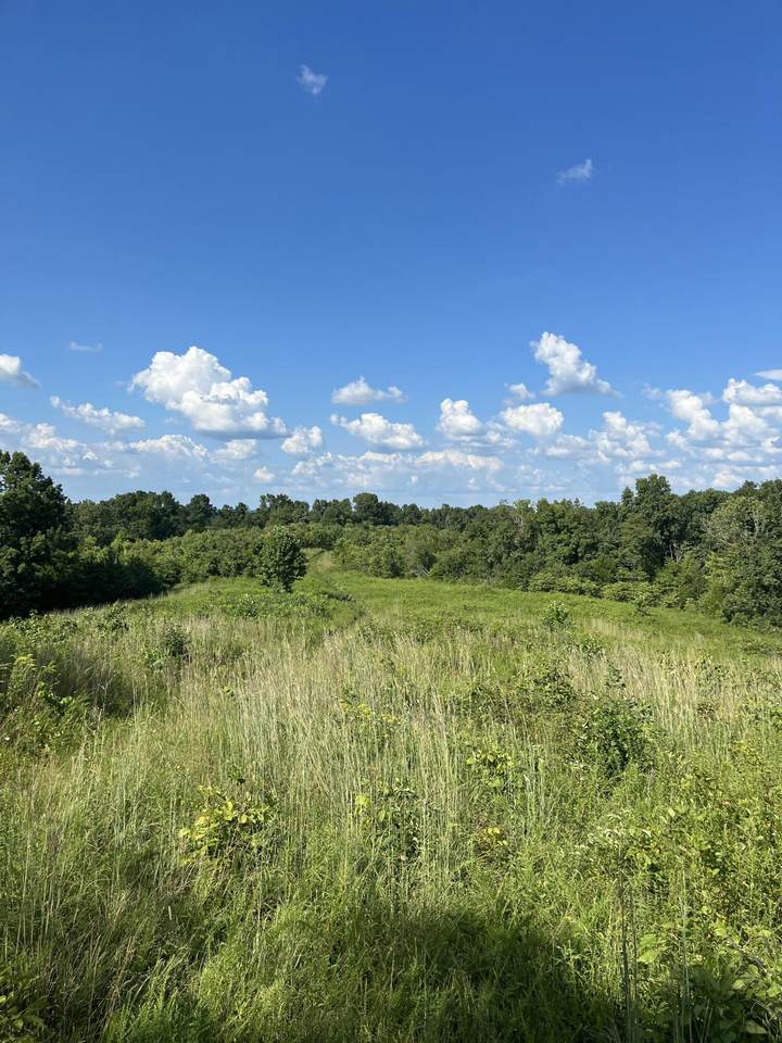 0 County Line Road - Photo 1