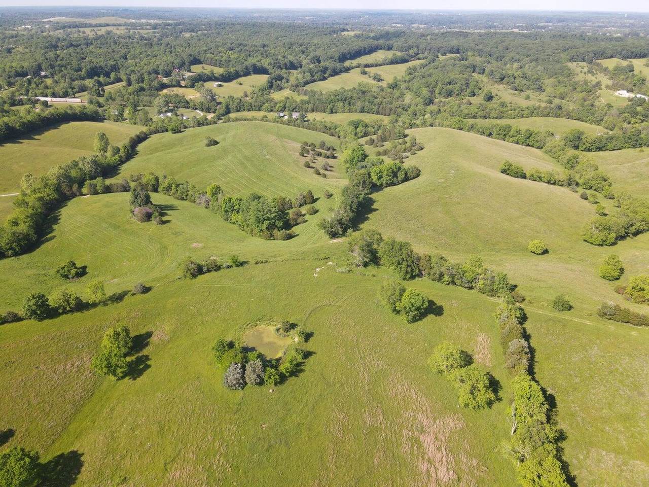 147.5 Acres 1375 Avenstoke Road - Photo 1