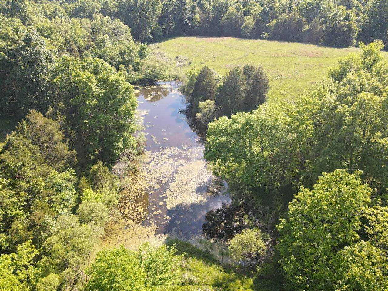 https://bt-photos.global.ssl.fastly.net/lexington/orig_boomver_1_20250821025950498508000000-2.jpg