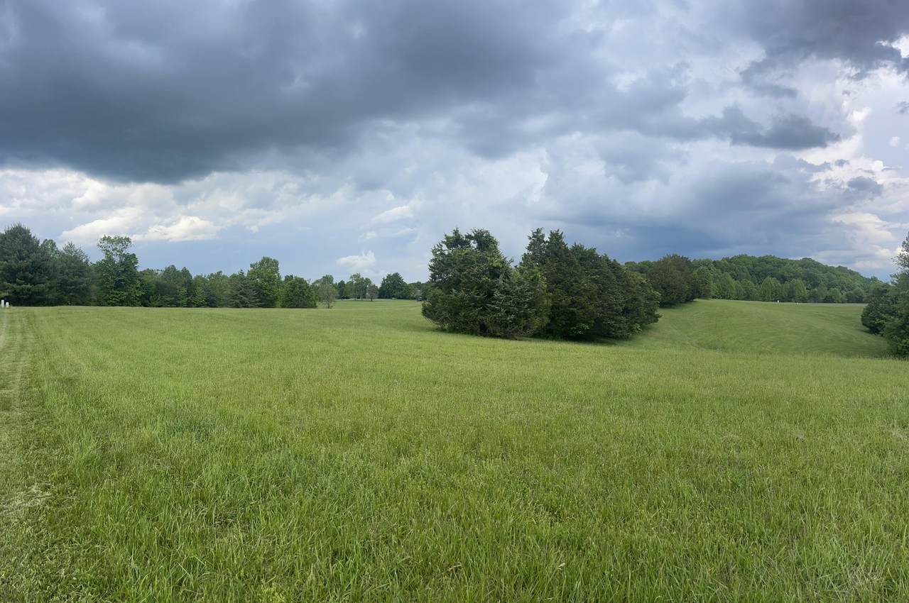 https://bt-photos.global.ssl.fastly.net/lexington/1280_boomver_1_20250821030003100848000000-2.jpg