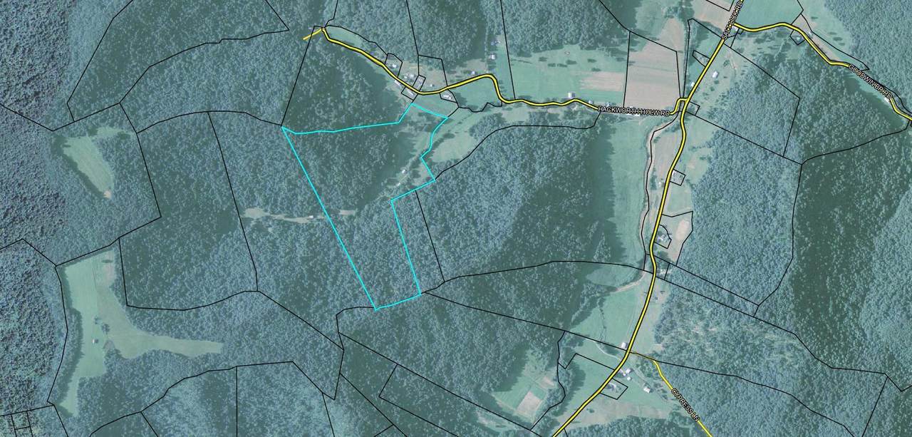 0 Esculapis Fork Road - Photo 1