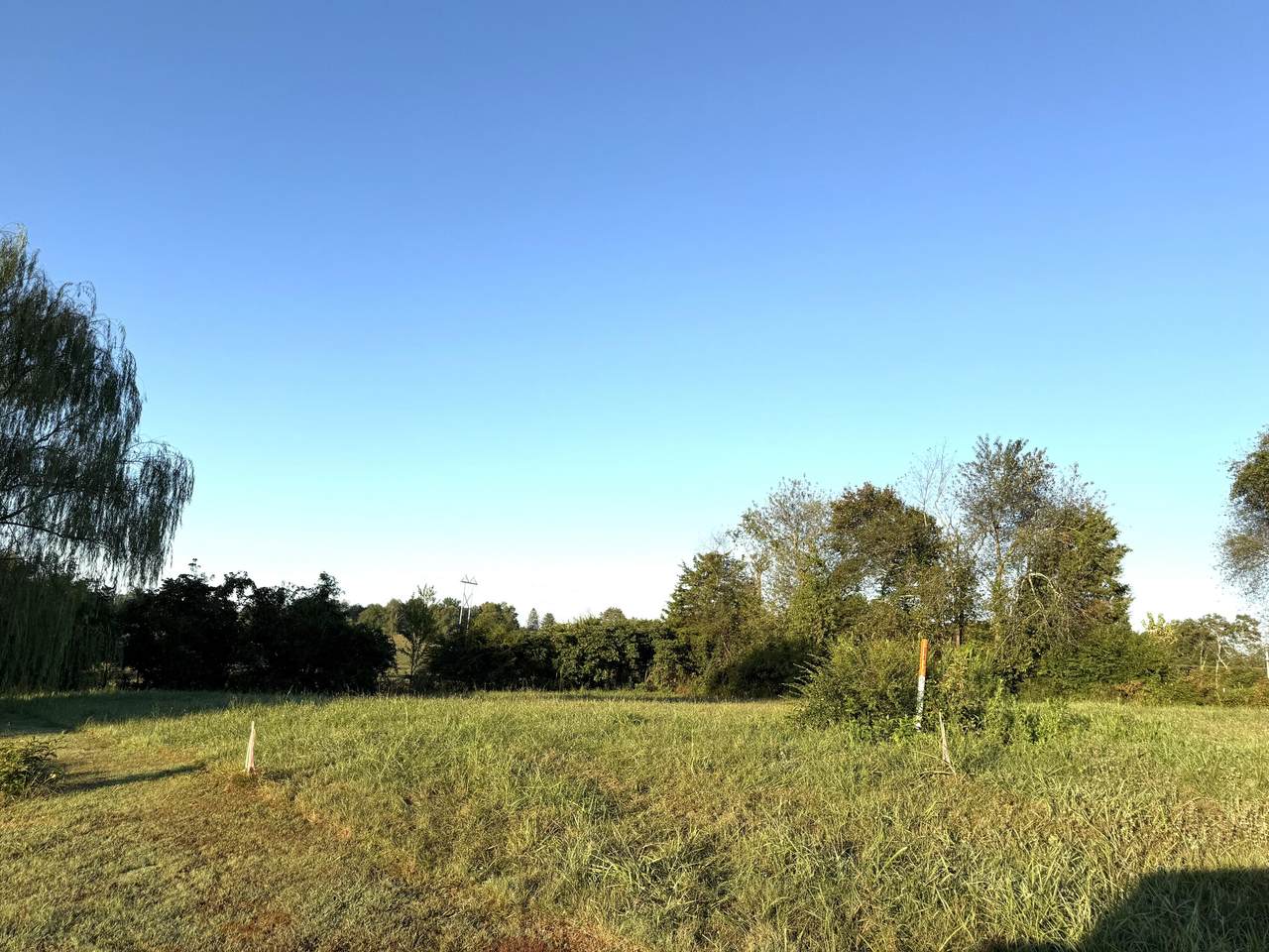 Lot 10 Scenic Valley Lane - Photo 1