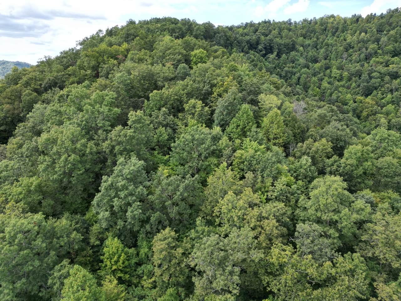https://bt-photos.global.ssl.fastly.net/lexington/1280_boomver_1_20250902220056980941000000-2.jpg
