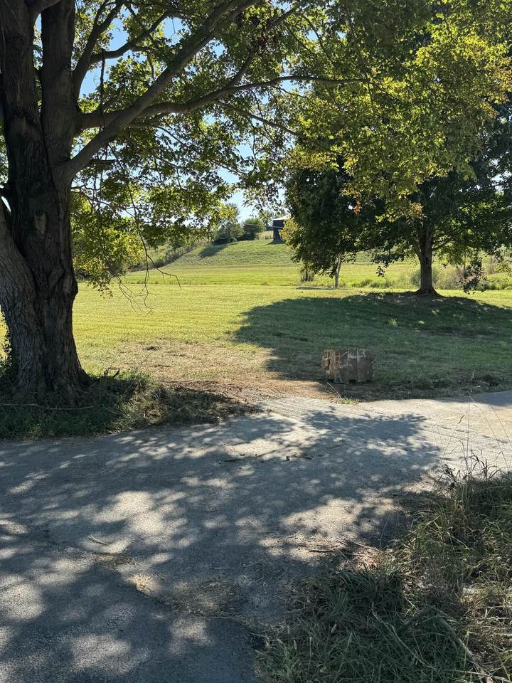 322 Locust Fork Road - Photo 1