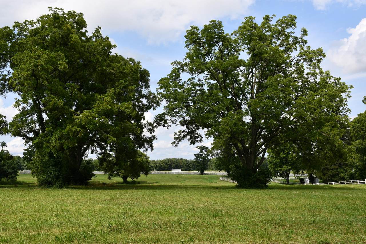 https://bt-photos.global.ssl.fastly.net/lexington/1280_boomver_1_20250908135139829296000000-2.jpg