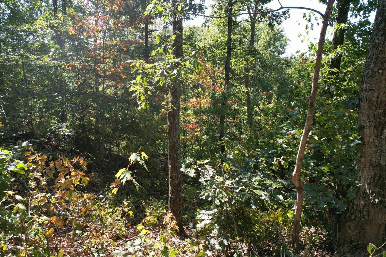 https://bt-photos.global.ssl.fastly.net/lexington/1280_boomver_1_20250909210423730489000000-2.jpg