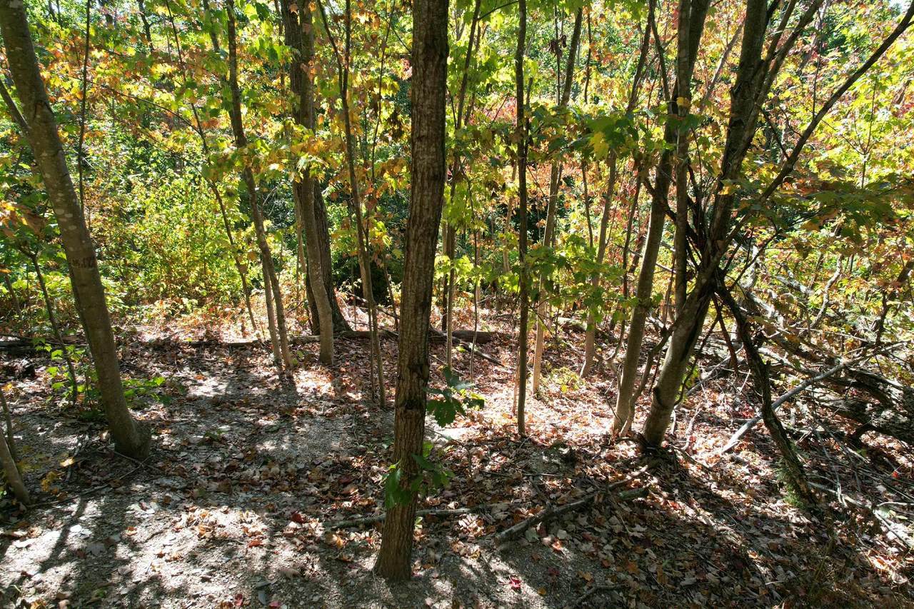 https://bt-photos.global.ssl.fastly.net/lexington/1280_boomver_1_20250909210423730489000000-2.jpg