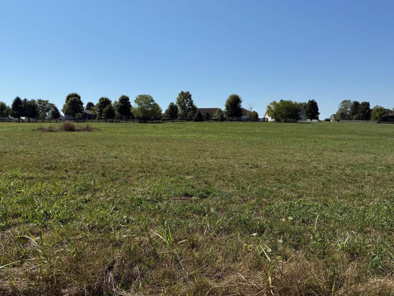 320 Dorton Drive - Photo 1