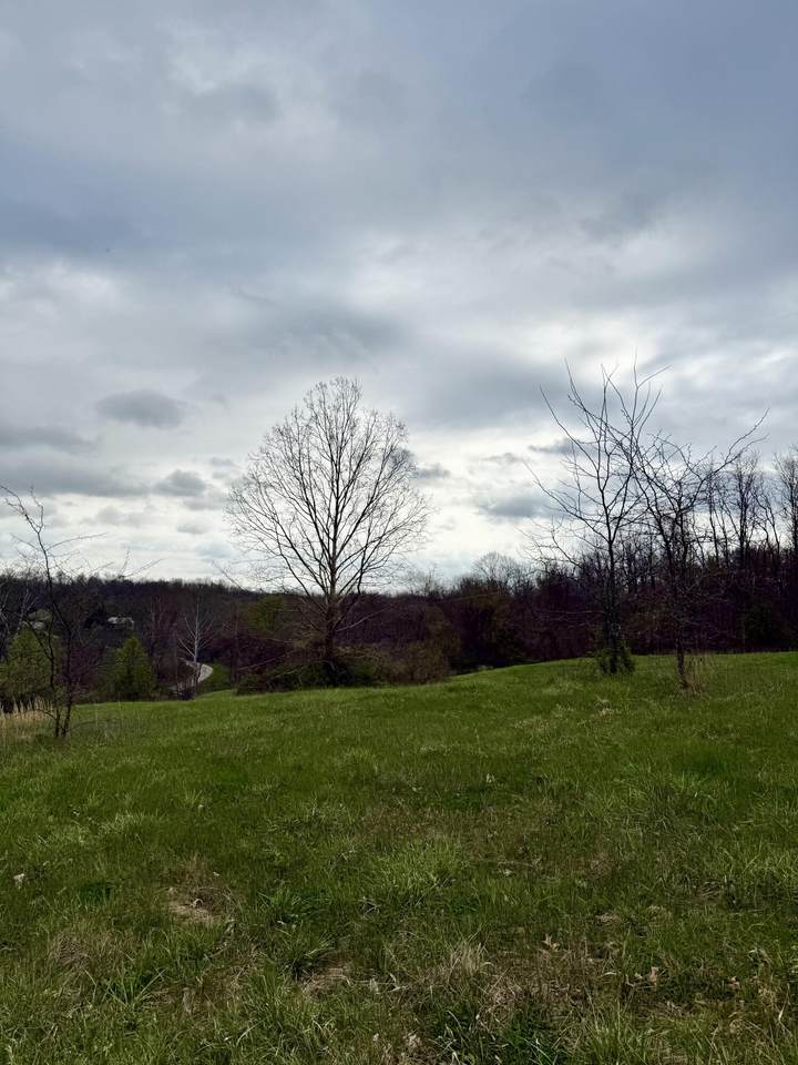 https://bt-photos.global.ssl.fastly.net/lexington/1280_boomver_1_20250920122037673131000000-2.jpg