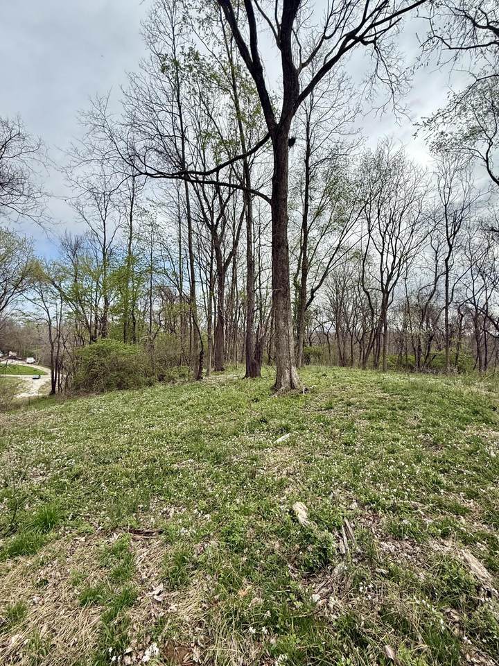 4091 Akin Lane - Photo 1