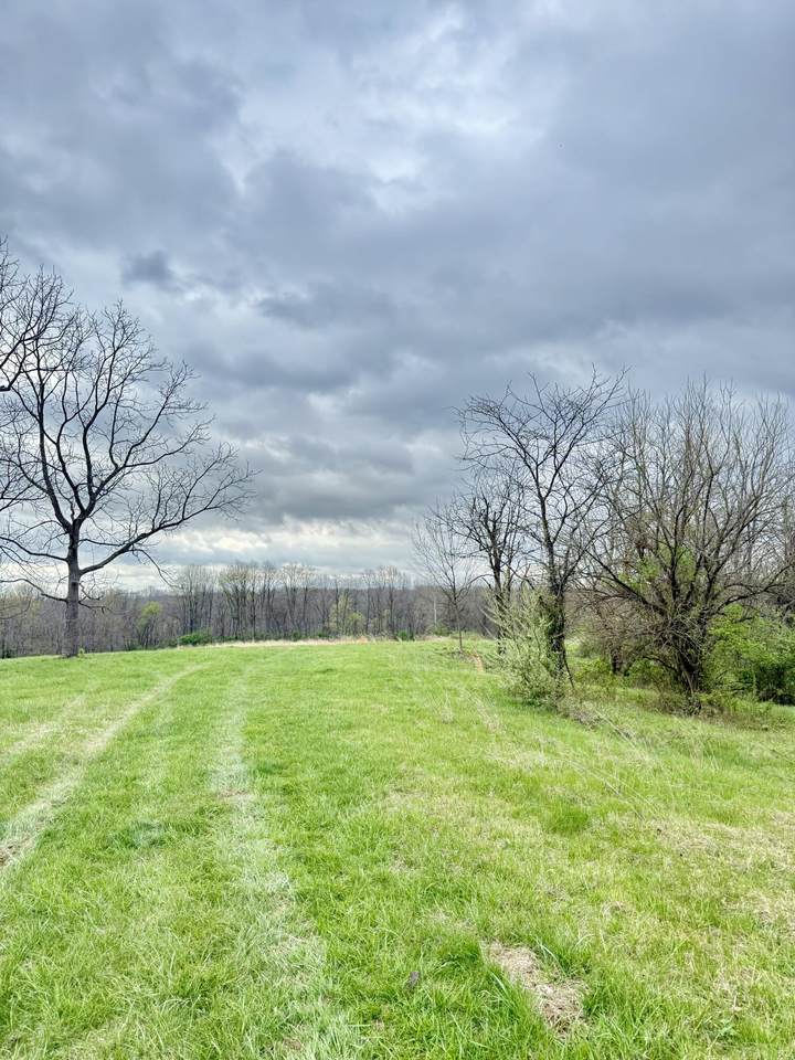 4151 Akin Lane - Photo 1