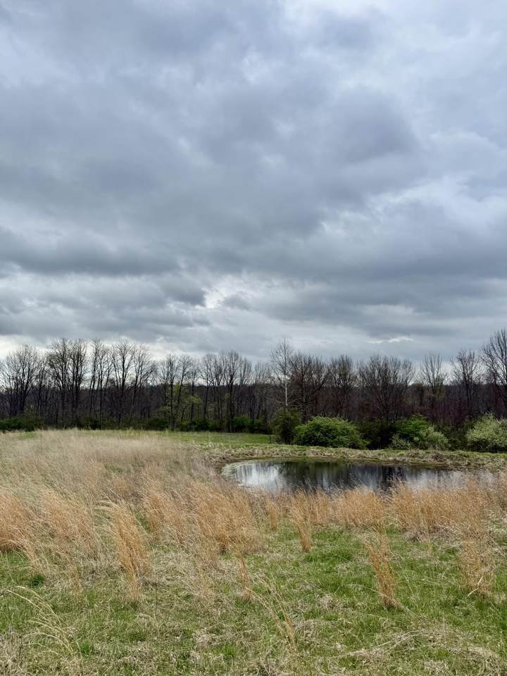 https://bt-photos.global.ssl.fastly.net/lexington/1280_boomver_1_20250920131118684534000000-2.jpg