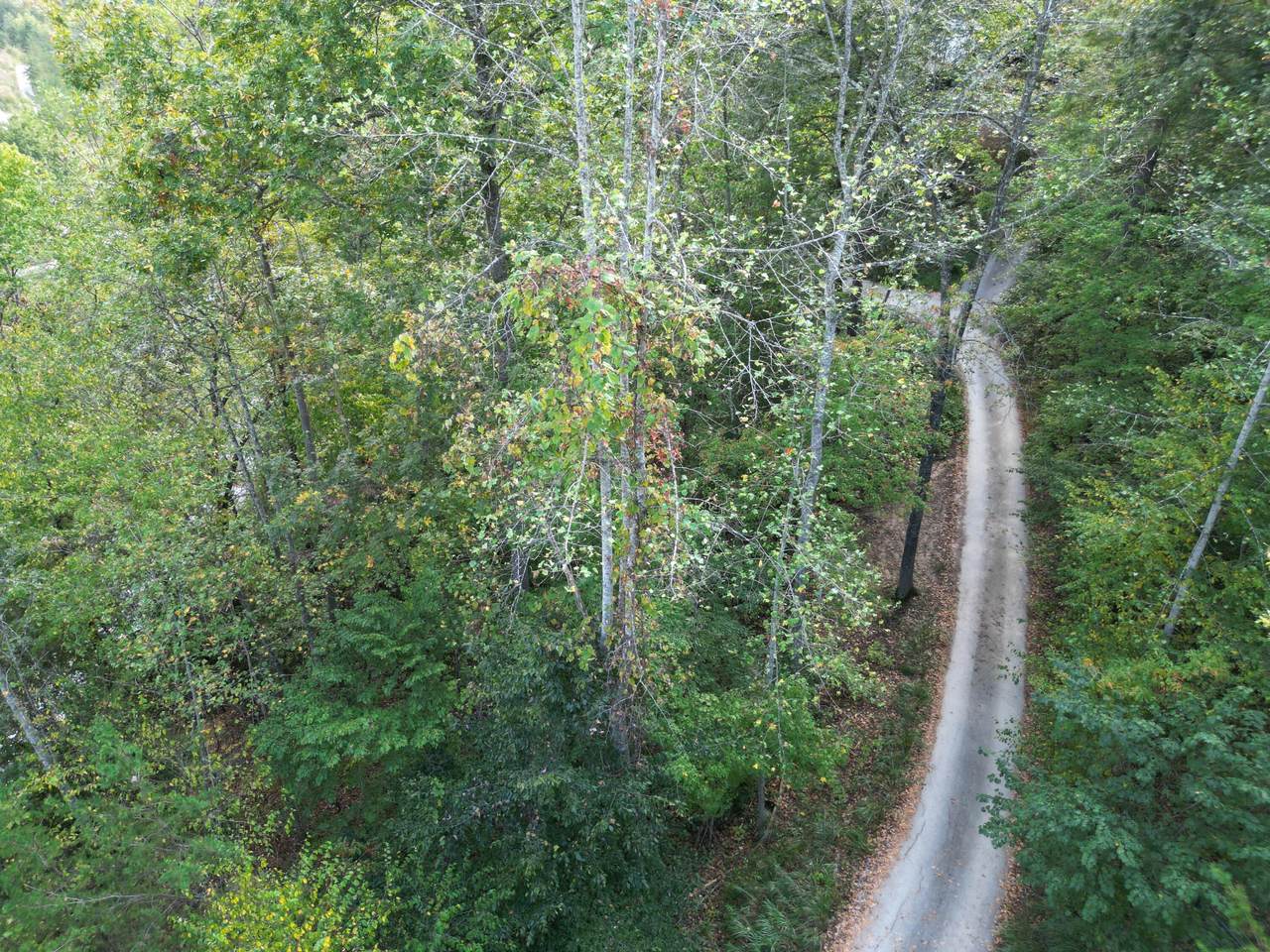 9999 Twin Arch Road - Photo 1