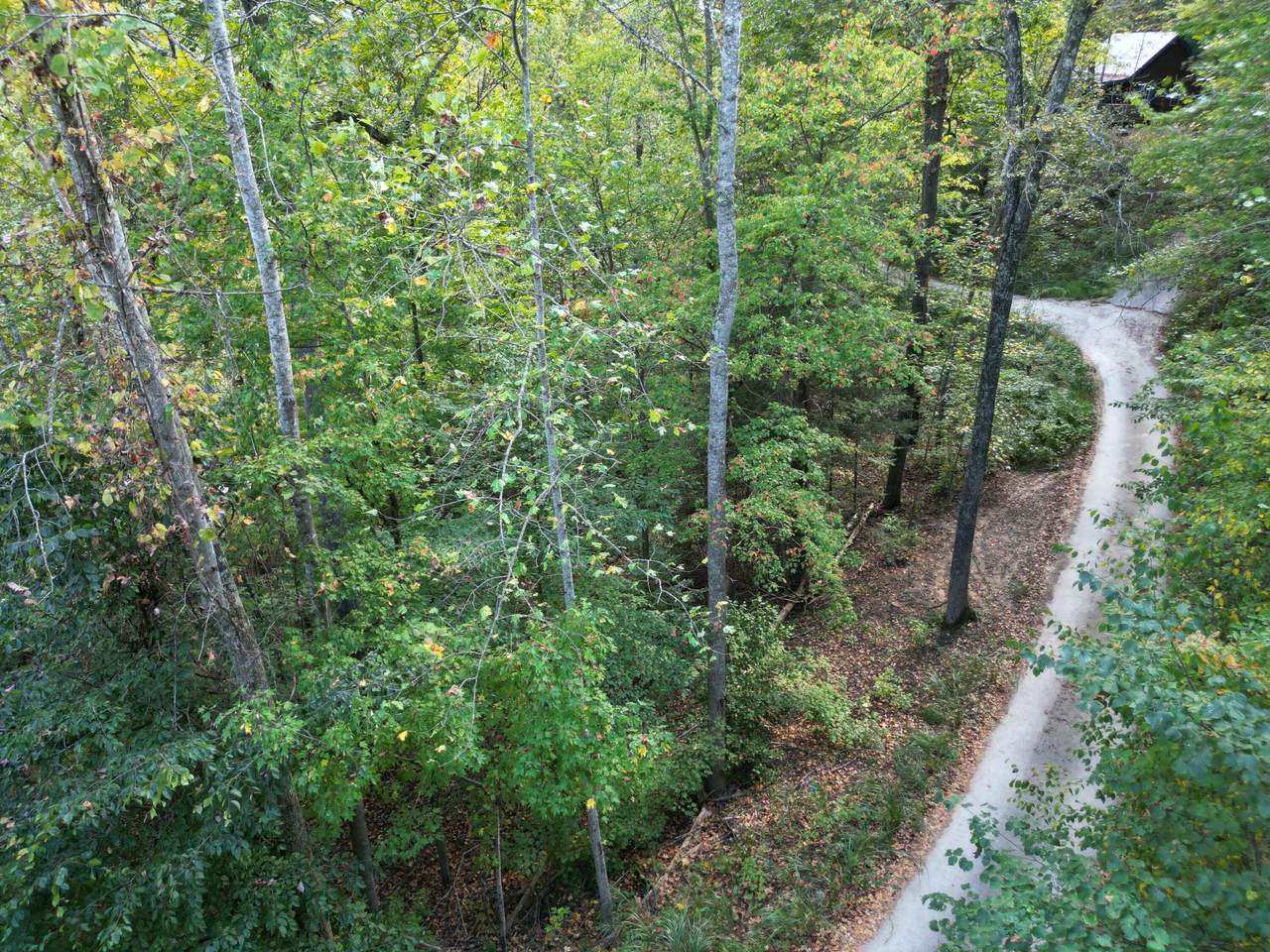 https://bt-photos.global.ssl.fastly.net/lexington/1280_boomver_1_20250920144104863627000000-2.jpg