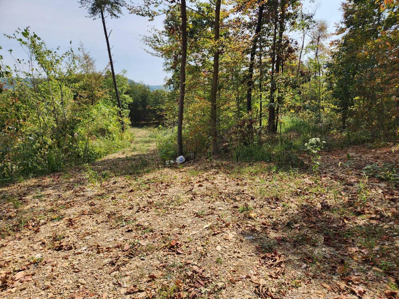 Lot #3 Routt Road - Photo 1