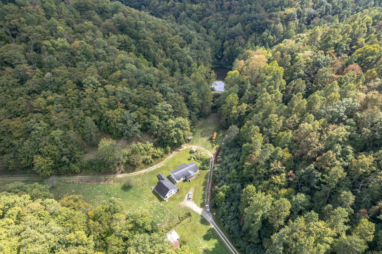 363 Higgins Branch Road - Photo 1